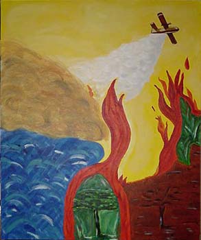 Incendie dans la massif des maures été 2003